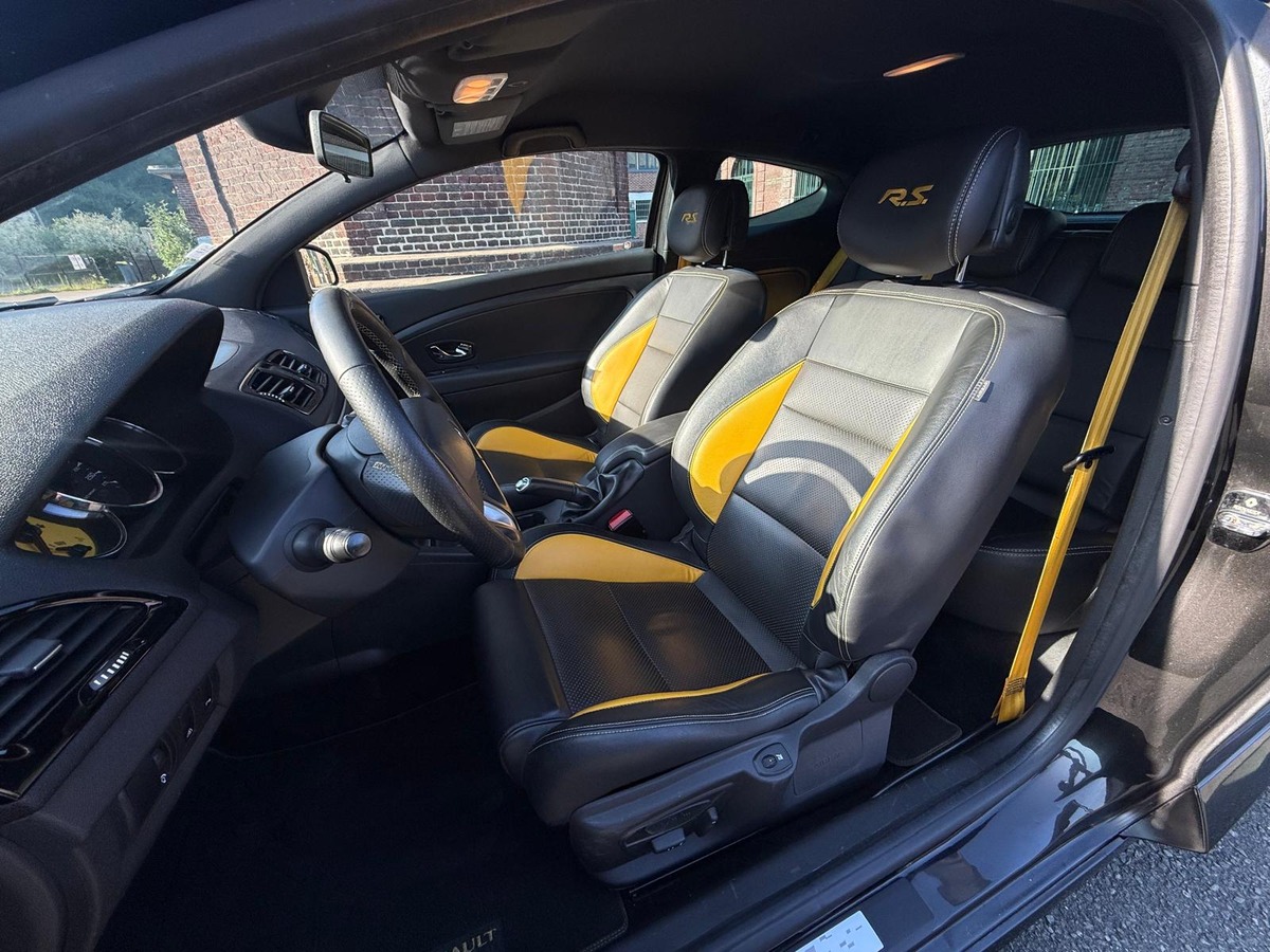 RENAULT Megane III RS CUP 250 / STEEVE, XENON, RS.MONITOR